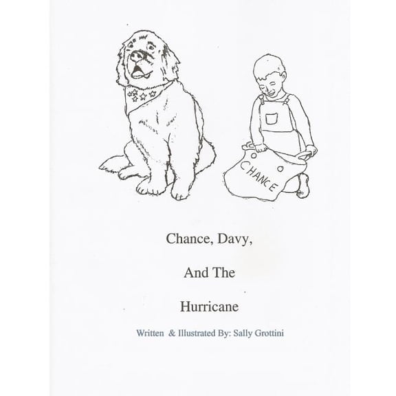 Chance, Davy, And The Hurricane, (Paperback)
