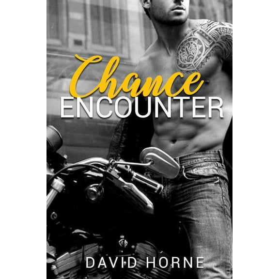 Chance Encounter (Paperback)