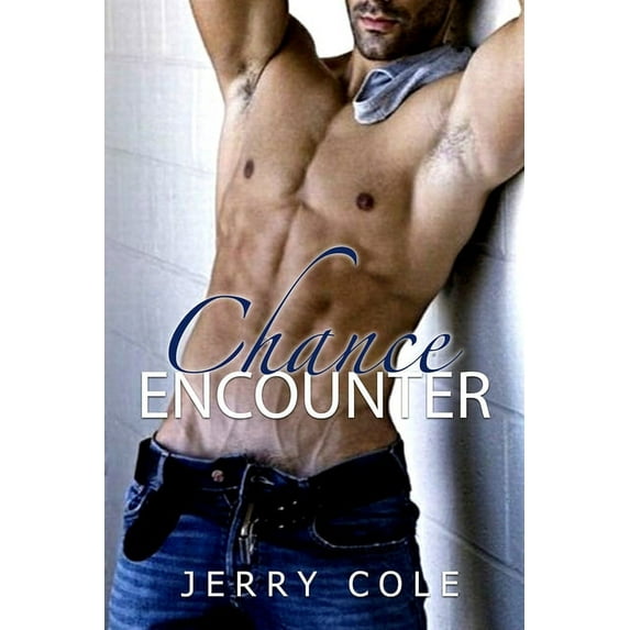 Chance Encounter (Paperback)