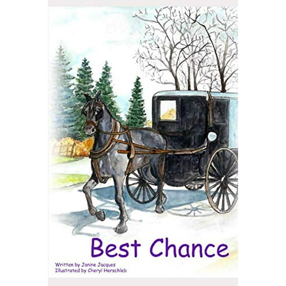 Pre-Owned Chance Paperback