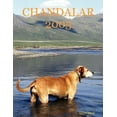 thumbnail image 1 of Chandalar 2005 (Paperback), 1 of 1