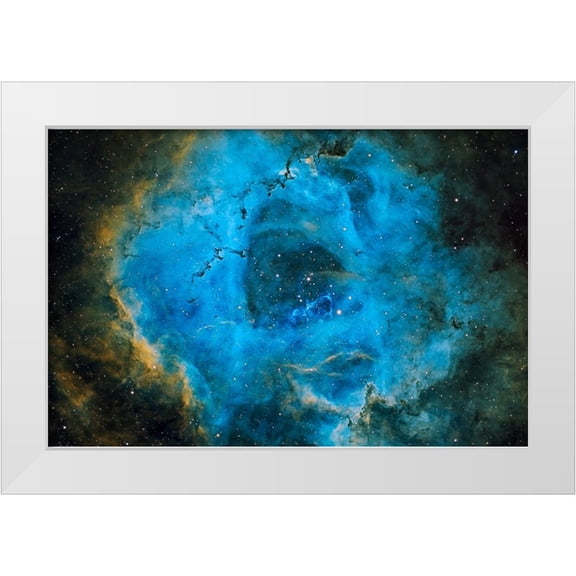 Chander, Vikas 24x17 White Modern Wood Framed Museum Art Print Titled - Rosette