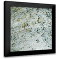 thumbnail image 1 of Chandler, Sharon 12x12 Black Modern Framed Museum Art Print Titled - Seasonal Transition II, 1 of 5