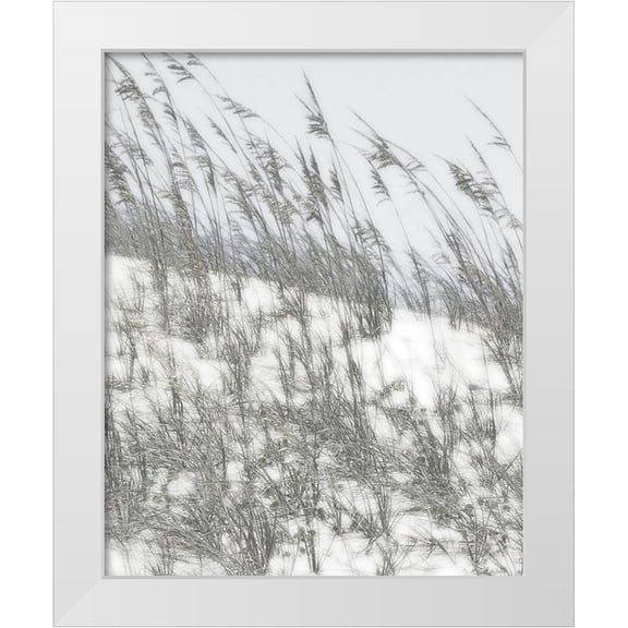 Chandler, Sharon 12x14 White Modern Wood Framed Museum Art Print Titled - Lush Dunes III