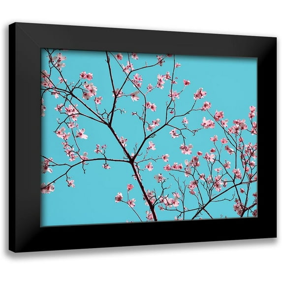 Chandler, Sharon 14x12 Black Modern Framed Museum Art Print Titled - Petals and Sky IV