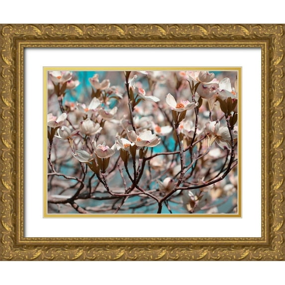 Chandler, Sharon 14x12 Gold Ornate Wood Framed with Double Matting Museum Art Print Titled - Dogwood Spring I