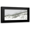 thumbnail image 1 of Chandler, Sharon 18x11 Black Modern Framed Museum Art Print Titled - Lush Dunes I, 1 of 5