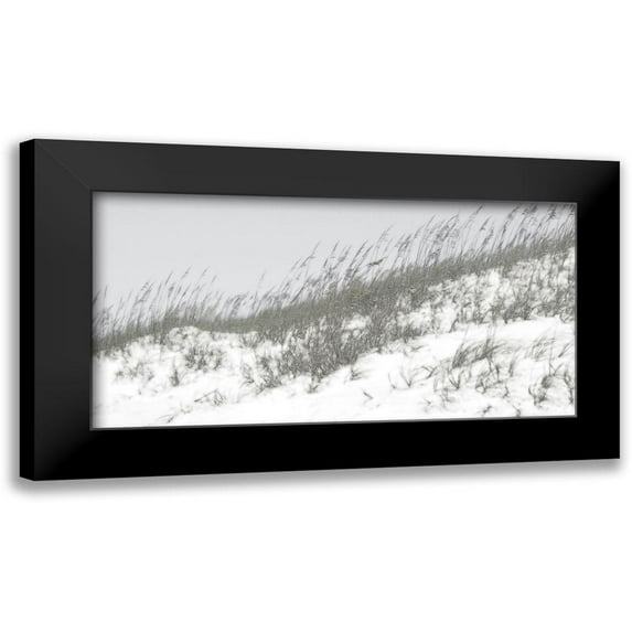 Chandler, Sharon 18x11 Black Modern Framed Museum Art Print Titled - Lush Dunes I