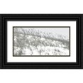 thumbnail image 1 of Chandler, Sharon 18x11 Black Ornate Wood Framed with Double Matting Museum Art Print Titled - Lush Dunes II, 1 of 4