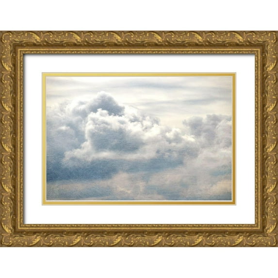 Chandler, Sharon 24x17 Gold Ornate Wood Framed with Double Matting Museum Art Print Titled - From Above II