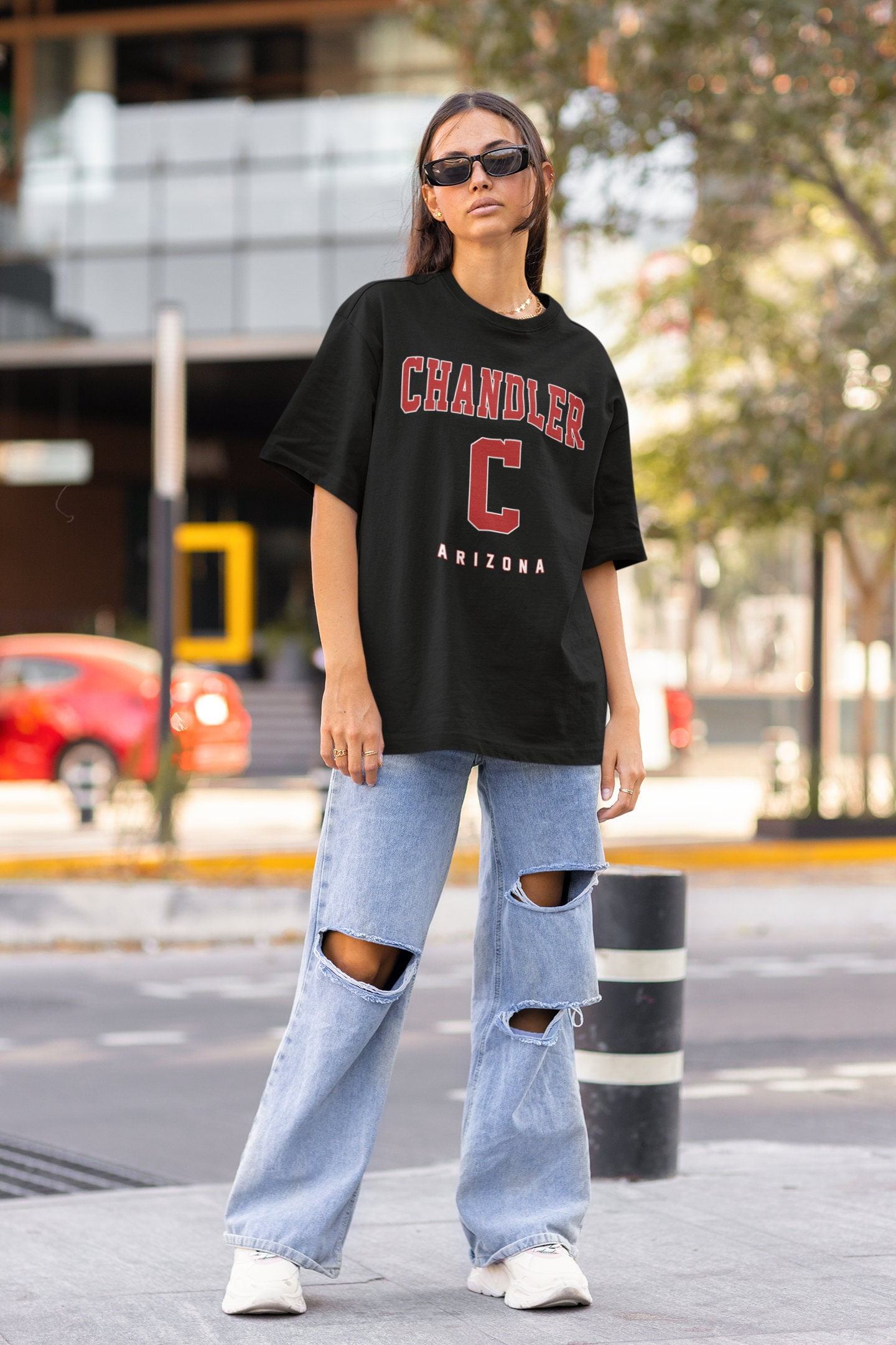 Chandler Shirt, Chandler Arizona Crewneck Sweatshirt / TShirt, Vintage