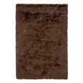thumbnail image 1 of Chandra Celecot CEL470 Shag Indoor Area Rug, 1 of 5
