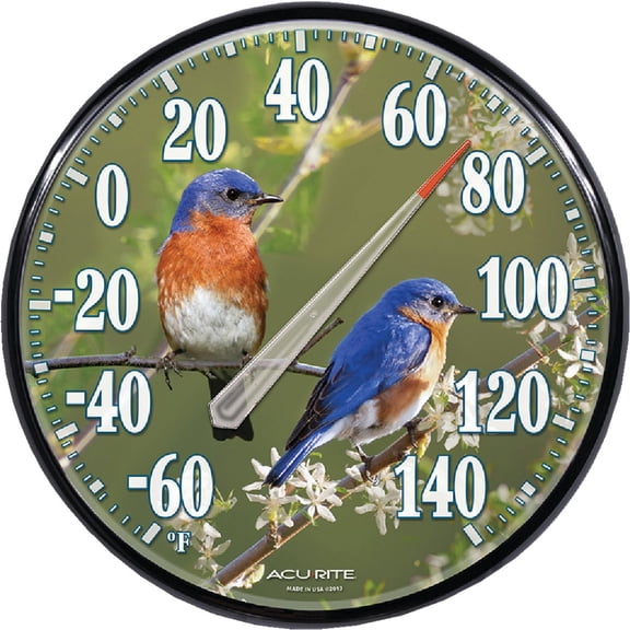 Chaney Instrument Acu-Rite Bluebird Outdoor Wall Thermometer - Single Pack