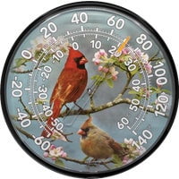 Chaney Instrument Acu-Rite Cardinal Outdoor Wall Thermometer - Pack of 4