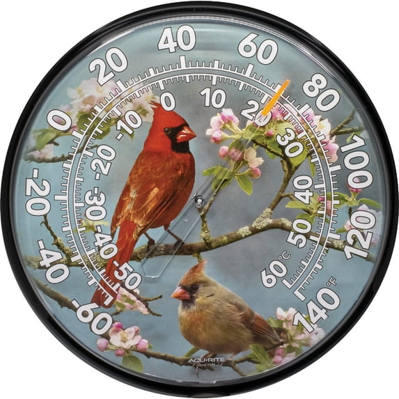Chaney Instrument Acu-Rite Cardinal Outdoor Wall Thermometer - Single Pack