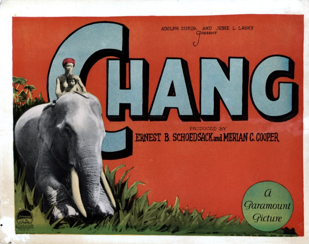 Chang Canvas Art - (28 x 22)