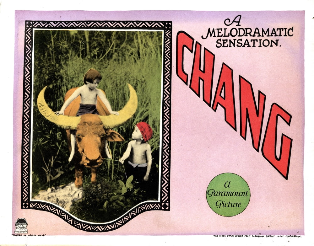Chang Canvas Art - (28 x 22)