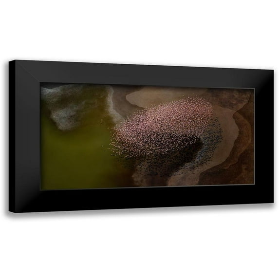 Chang, Phillip 14x9 Black Modern Framed Museum Art Print Titled - Beautiful flower