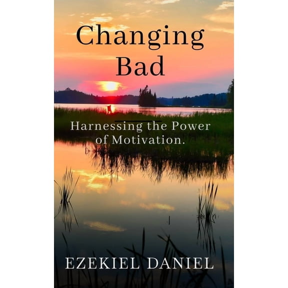 Changing Bad: Harnessing the Power of Motivation, (Paperback)