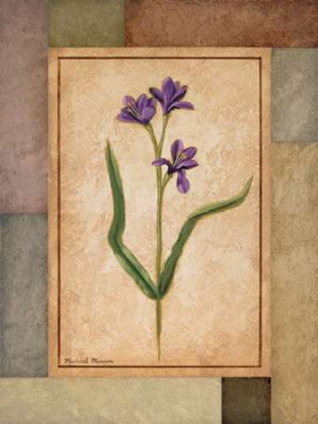 Changing Colors II Canvas Art - Michael Marcon (18 x 24)