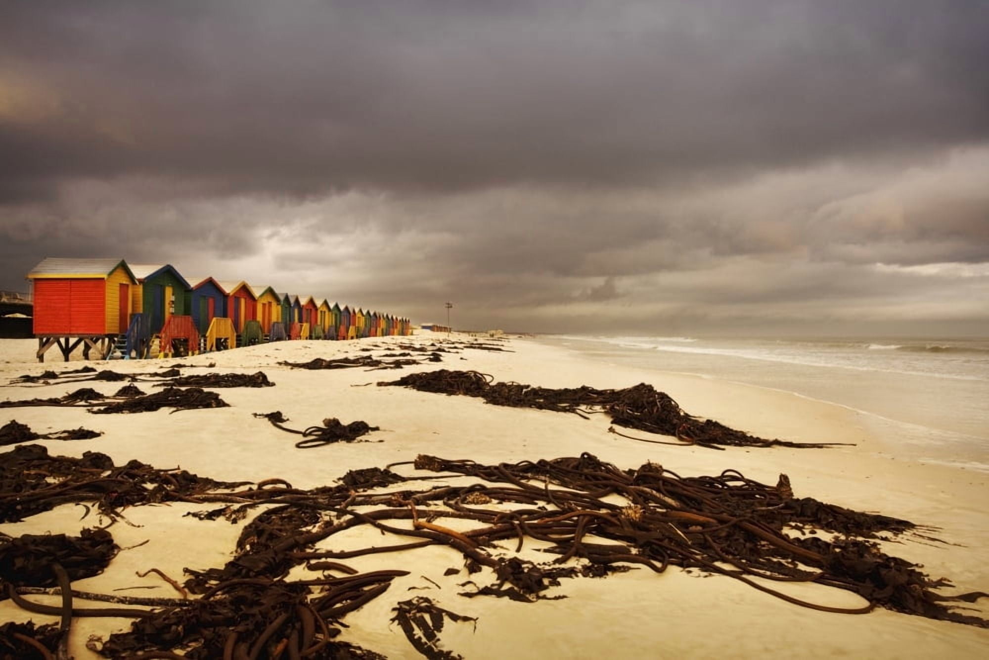 Changing Huts Along The Beach Cape Town South Africa Canvas Art - Kristy-Anne Glubish Design Pics (17 x 11)