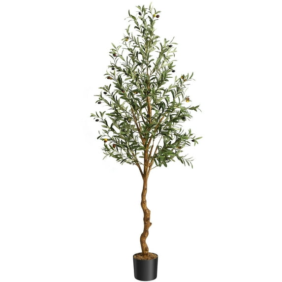 ChaoLink Artificial Olive Tree 6FT Tall Faux Silk Olive Trees for Fake Potted Tree with Natural Wood Trunk and Lifelike Fruits 2 Pack2Pcs