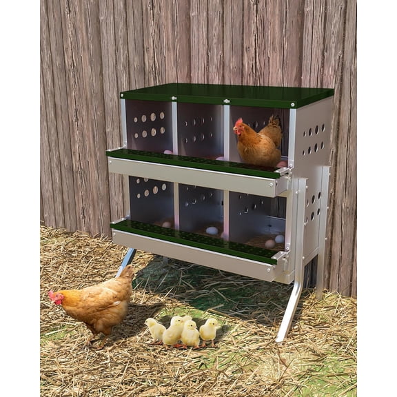 ChaoLink Rustproof Wall - mountable 6 - Room Metal Chicken Nesting Box for Laying Eggs with Roll - Away Design