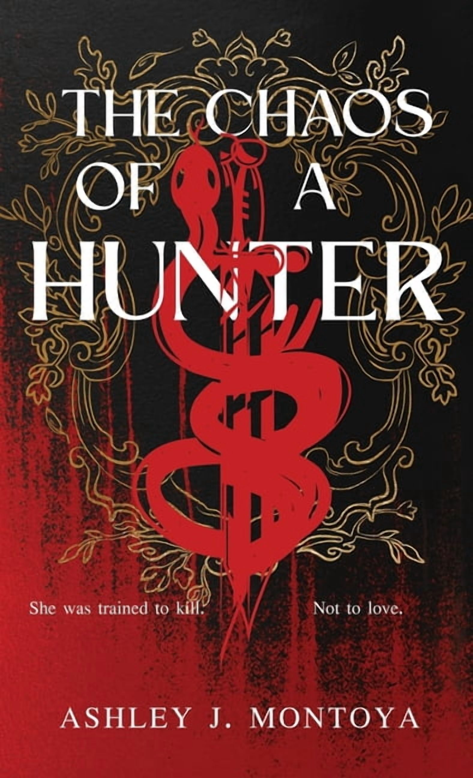 Chaos Chronicles The Chaos of a Hunter, Book 1, (Hardcover)
