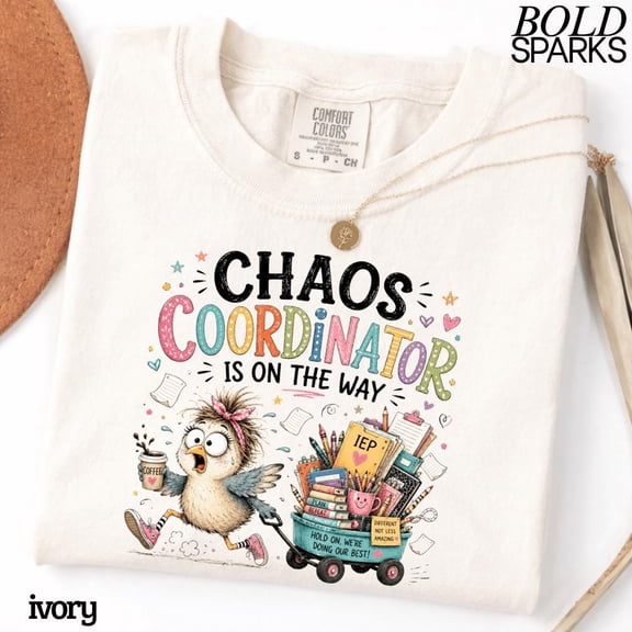 Chaos Coordinator is On The Way Sped Teacher Goose T-Shirt, Funny Educator Gift, Classroom Graphic Tee, Unisex T-Shirt