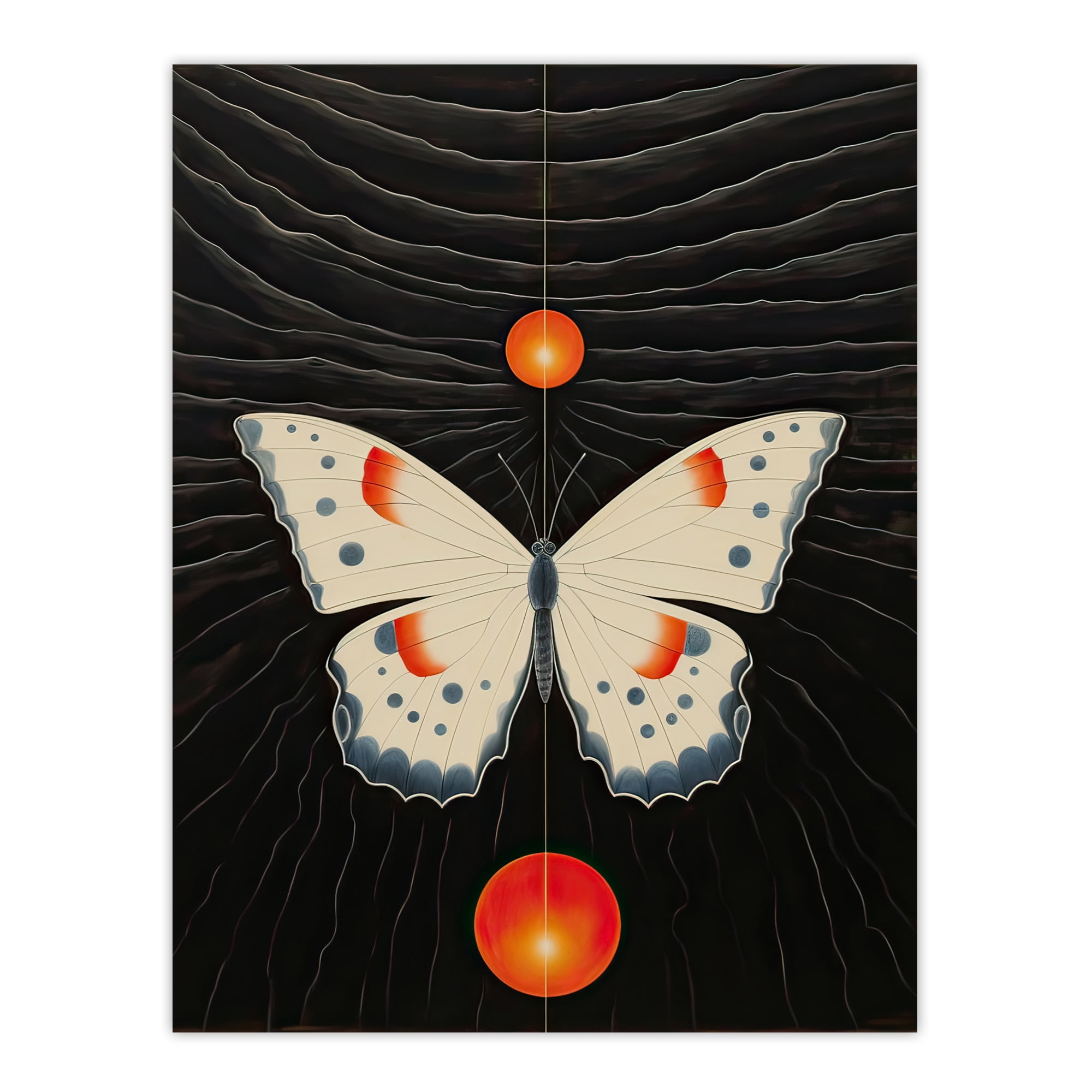 Chaos Theory Hilma af Klint Inspired Butterfly and Two Suns White