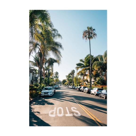 Chapala Street - Santa Barbara California Photography Palm Tree Street Photography Car Tropical Nature Summer Unframed Wall Art Print 20 x 28 inches