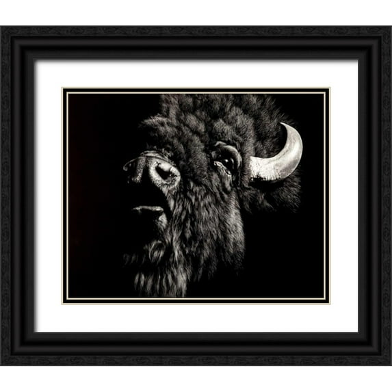 Chapman, Julie T. 14x12 Black Ornate Wood Framed with Double Matting Museum Art Print Titled - Enduring #4