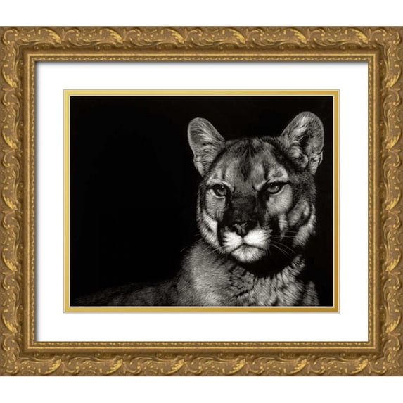 Chapman, Julie T. 14x12 Gold Ornate Wood Framed with Double Matting Museum Art Print Titled - Scratchboard Nightfall