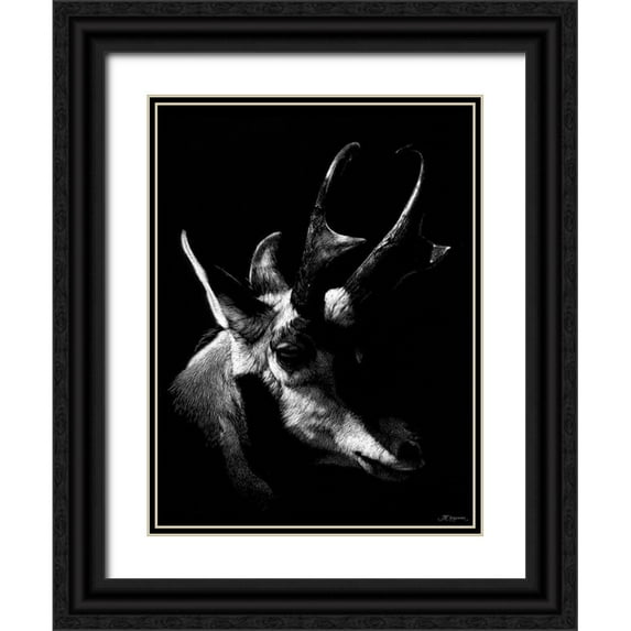 Chapman, Julie T. 15x18 Black Ornate Wood Framed with Double Matting Museum Art Print Titled - Wildlife Scratchboards II