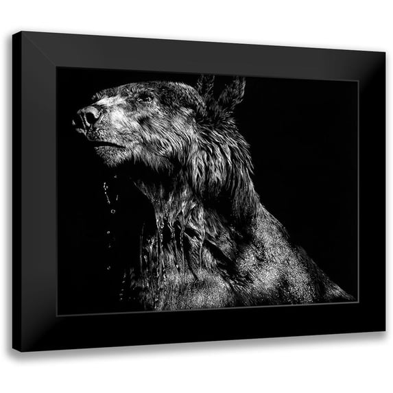 Chapman, Julie T. 18x15 Black Modern Framed Museum Art Print Titled - Ursa Major