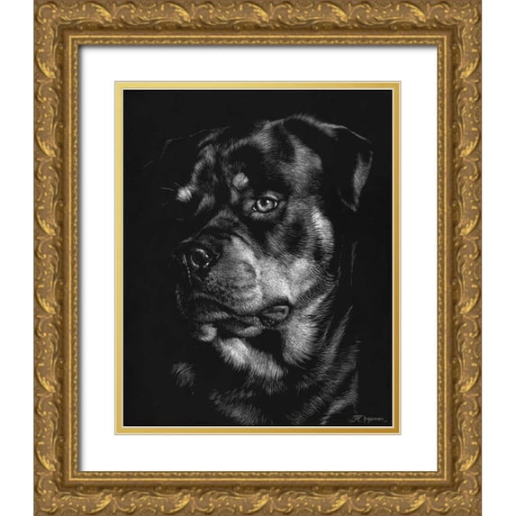Chapman, Julie T. 20x24 Gold Ornate Wood Framed with Double Matting Museum Art Print Titled - Canine Scratchboard XII