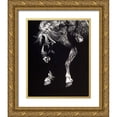 thumbnail image 1 of Chapman, Julie T. 20x24 Gold Ornate Wood Framed with Double Matting Museum Art Print Titled - Hangin Four, 1 of 4