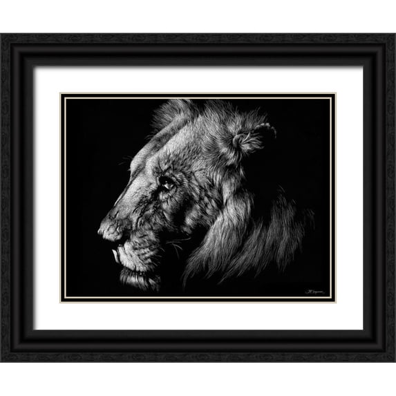 Chapman, Julie T. 24x19 Black Ornate Wood Framed with Double Matting Museum Art Print Titled - Wildlife Scratchboards I