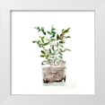 thumbnail image 1 of Chapman, Marcy 15x15 White Modern Wood Framed Museum Art Print Titled - Potted Botanicals V, 1 of 4