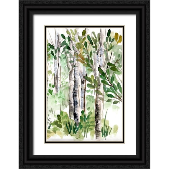 Chapman, Marcy 17x24 Black Ornate Wood Framed with Double Matting Museum Art Print Titled - Birch Forest II