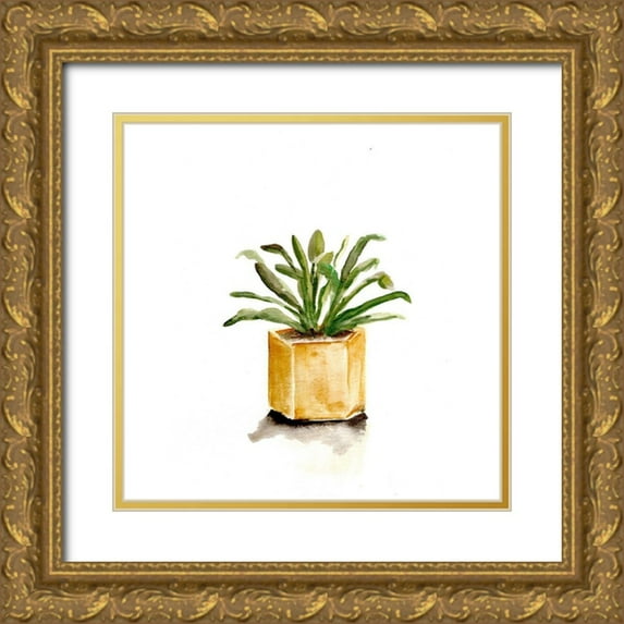 Chapman, Marcy 20x20 Gold Ornate Wood Framed with Double Matting Museum Art Print Titled - Potted Botanicals II