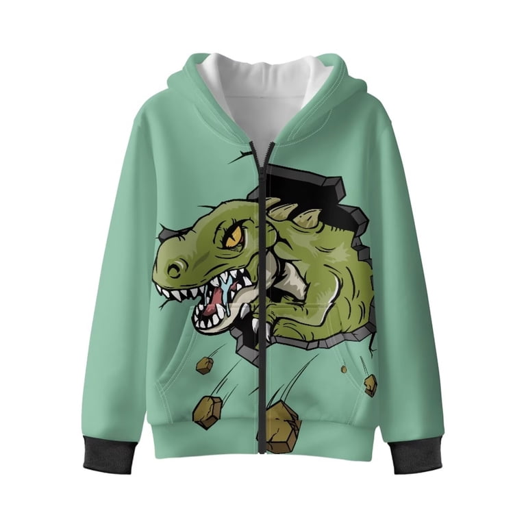 Chaqlin Funny Dinosaur Zip Up Hoodie with Pockets for Kids and