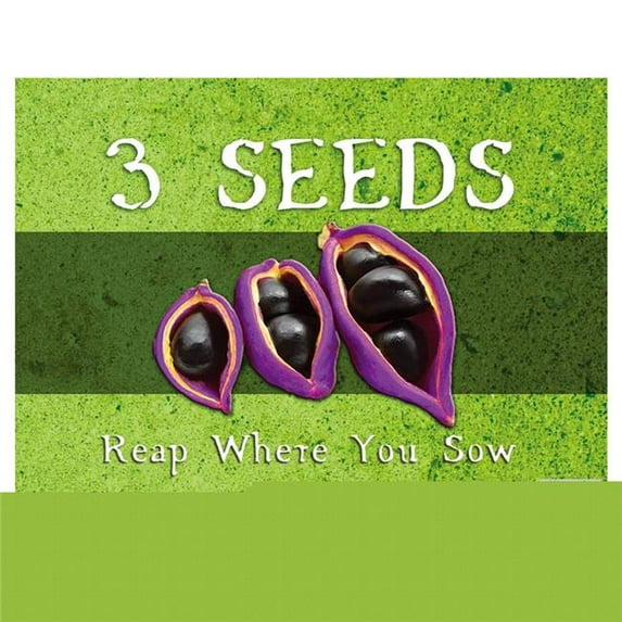 Chara Games 3 Seeds - Reap Where You Sow Game
