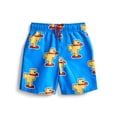 thumbnail image 1 of Character Toddler Boy Swim Trunks, Size 12M-5T, 1 of 3