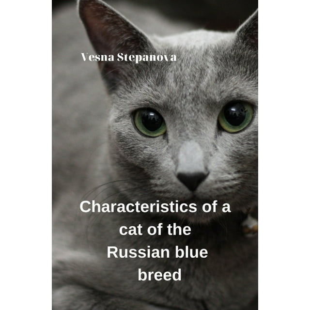 Characteristics of a Cat of the Russian Blue Breed