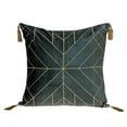 thumbnail image 1 of Charcoal & Gold Geo Velvet Throw Pillow with Gold Tassels, 1 of 1