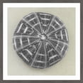 thumbnail image 1 of "Charcoal Sea Urchin" Framed Painting Print, 1 of 5
