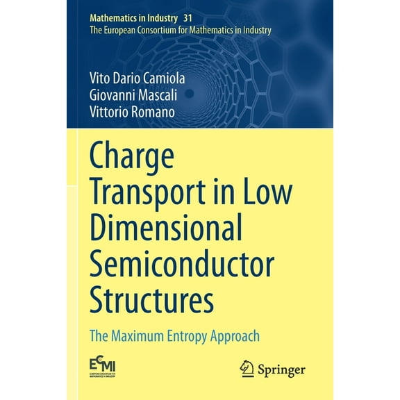 Charge Transport in Low Dimensional Semiconductor Structures: The Maximum Entropy Approach, (Paperback)