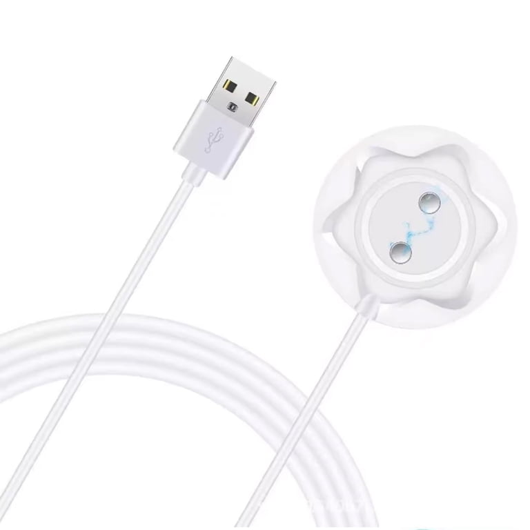 how to charge my rose toy without a charger VANTIYAUS Magnetic Rose Toy Charger, 2A Fast Charging USB Cord, 2.69ft  Compact Dock
