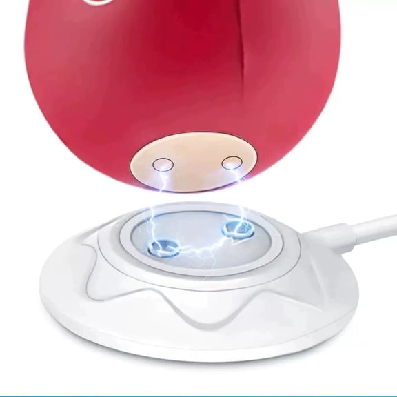Magnetic Charger For Vibrator